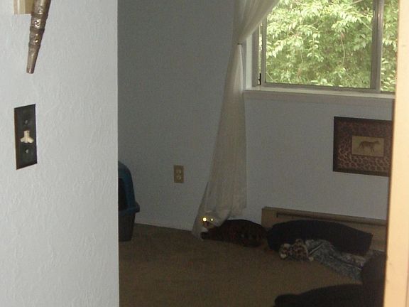 Bedroom 2 of 3. New paint and closet doors