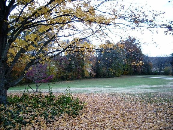 VIEW OR YARD FROM PORCH
