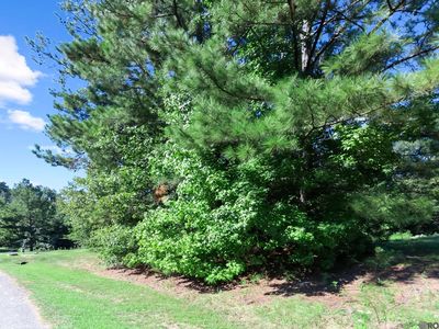 13783 Oakley Ln, Saint Francisville, LA, 70775