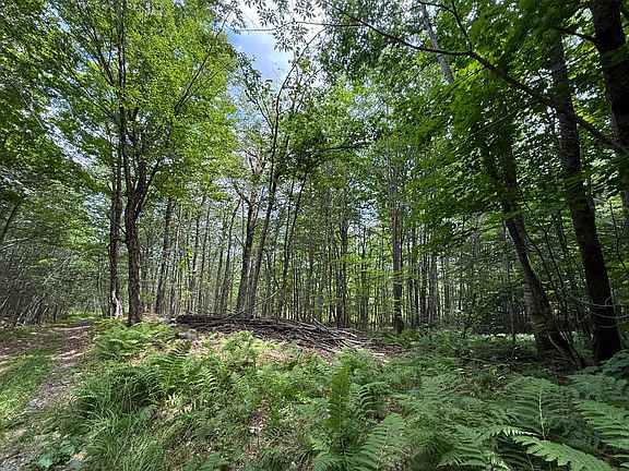 5th image of 3 Bradley Drive