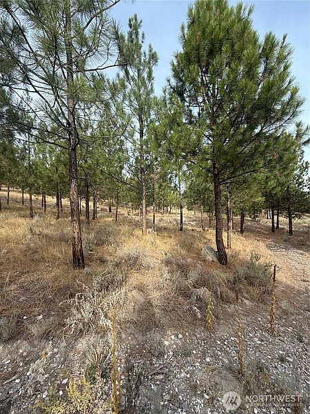 2nd image of 67 W Bannon Creek Road