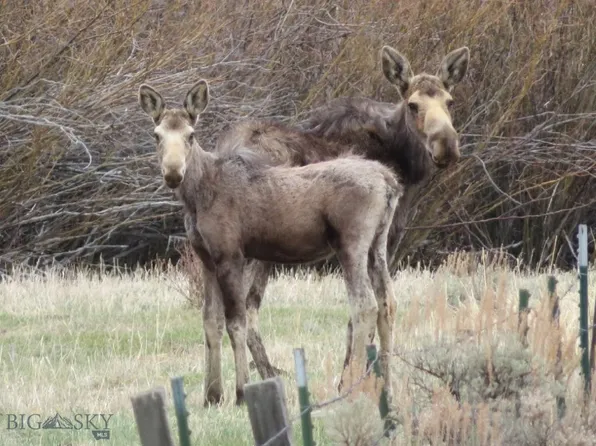 Tbd Camp Creek Rd, Melrose, MT 59743