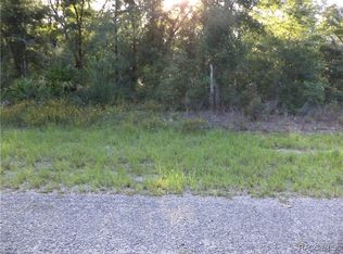 6402 N Matheson Dr, Citrus Springs, FL 34434