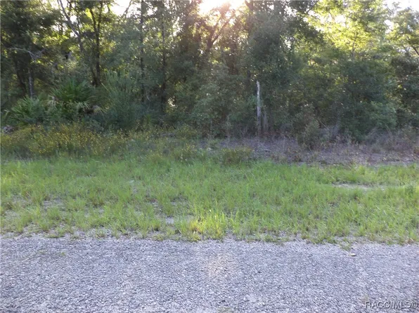 6402 N Matheson Dr, Citrus Springs, FL 34434