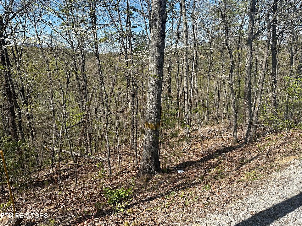 2nd image of 1532 Mountain Dreams Way