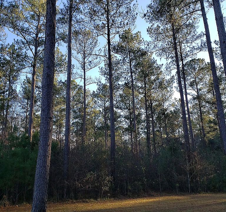 181 Creekridge Dr 1.53 Acres