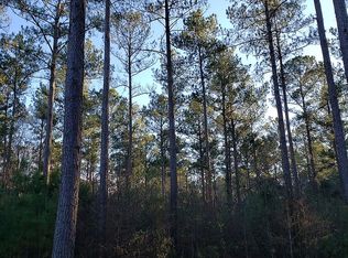 181 Creekridge Dr, Leesburg, GA 31763