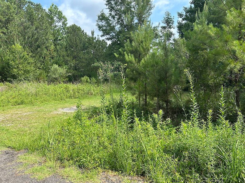2nd image of LOT Orange Blossom St
