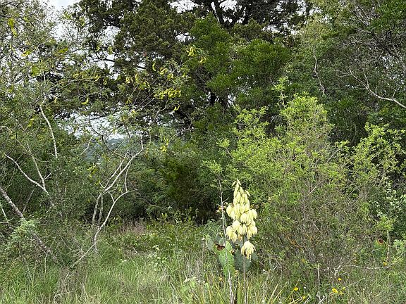 4th image of 460 County Road 2753 LOT 305