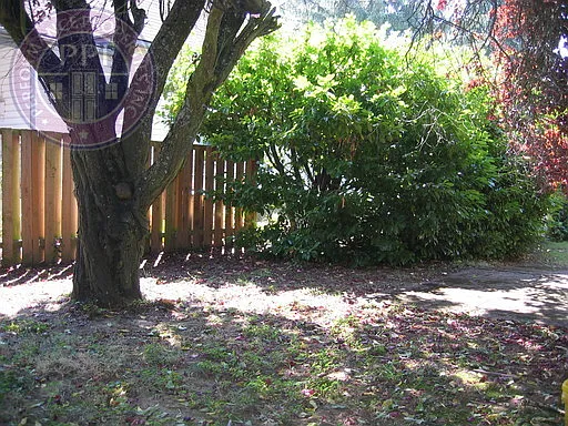 fal6120 — Photo 11
