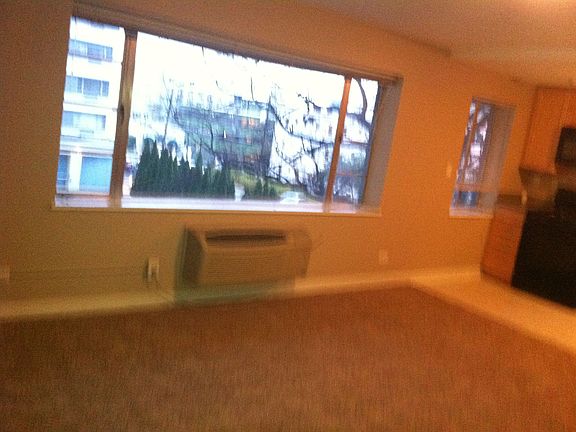 Studio with new carpet and paint View to Pool and downtown!