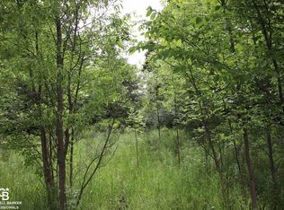 0 Blue Heron Ln, Almont, MI 48003