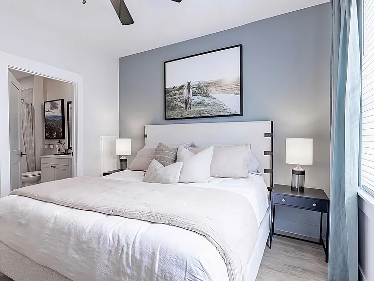 Modern bedroom with ceiling fan and en-suite bathroom