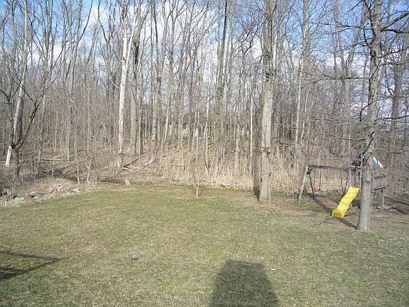 Backyard with partial woods