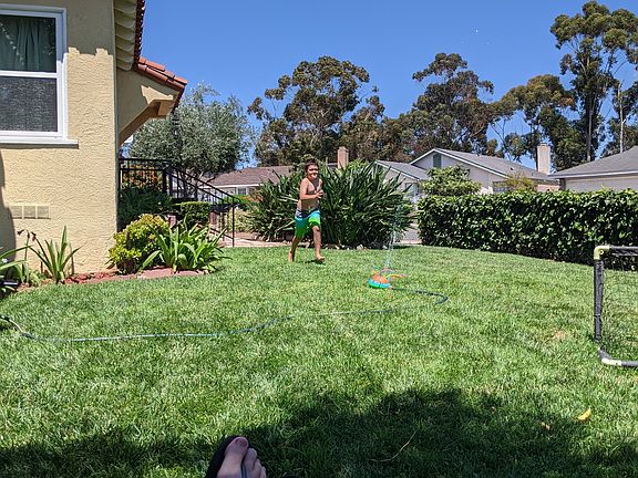 Natural Green Grass front lawn, natural ivy privacy fence.