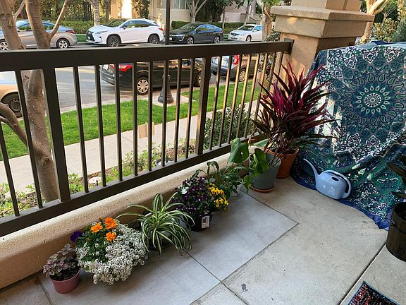 Main patio