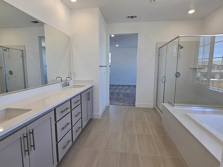 Master Suite Bathroom