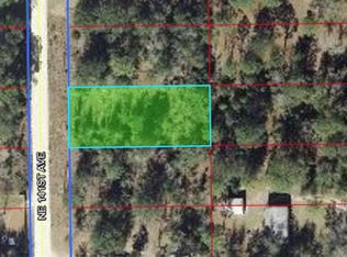 4717 NE 141st Ave, Williston, FL 32696