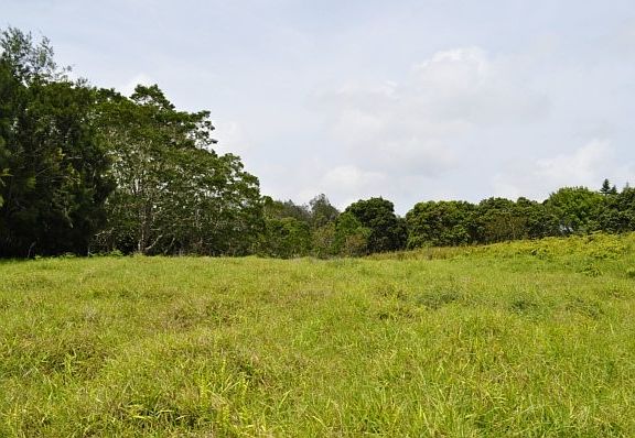 3rd image of Puukapu St Lot 38