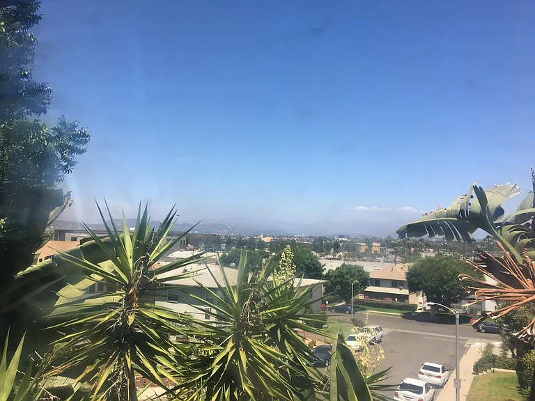 Window view