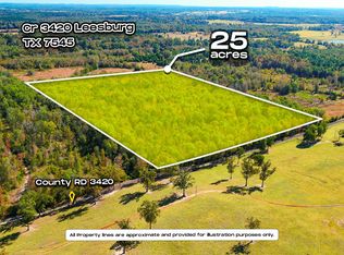 County Road 3420, Leesburg, TX 75451