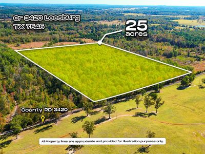 County Road 3420, Leesburg, TX, 75451