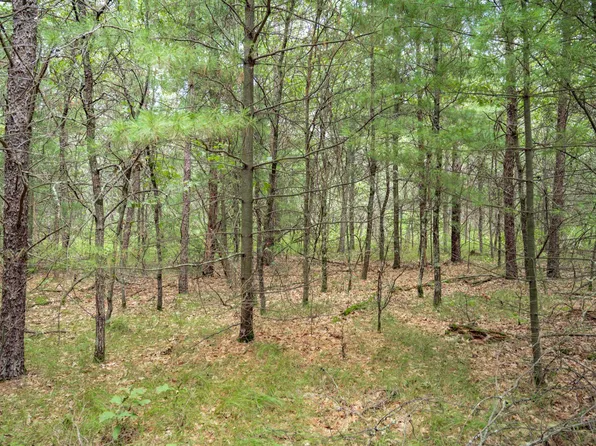 44 Morros Mile Rd, Necedah, WI 54646