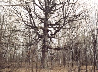 Xxx Pine Avenue, North Branch, MN 55056
