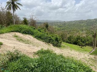 0 Carr Cerca De Lf #934-007, Juncos, PR 00777