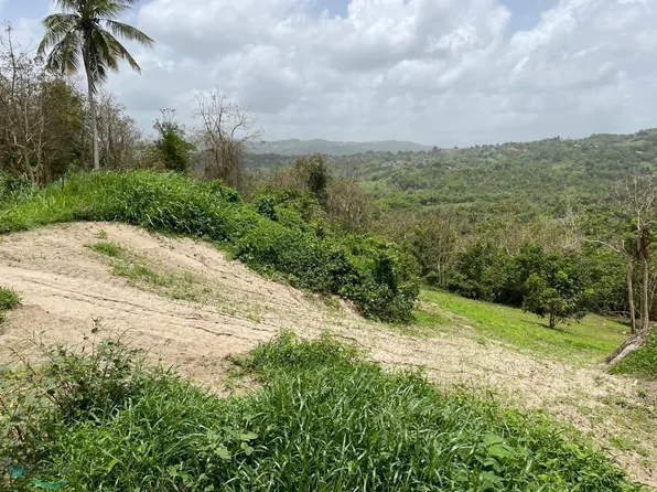 0 Carr Cerca De Lf #934-007, Juncos, PR 00777