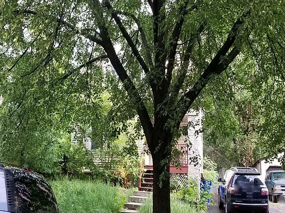 2nd image of 1030 Wilson Ave