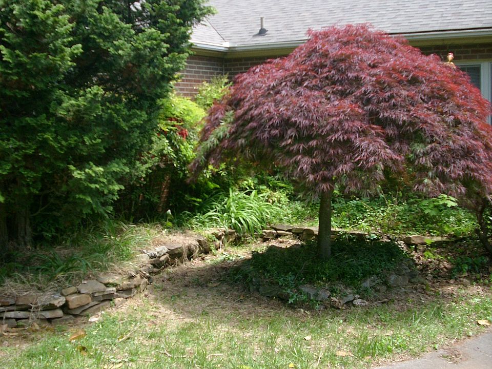 1st image of 3308 South Cir
