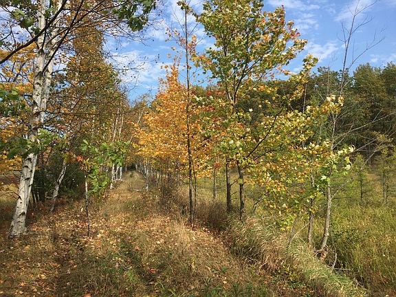 5th image of Old Highway 63