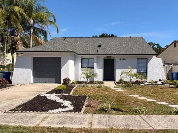 12329 Witheridge Dr, Tampa, FL 33624