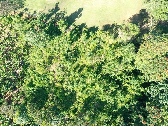 5th image of Bo Camuy Arriba Km 3.9 Carr #483
