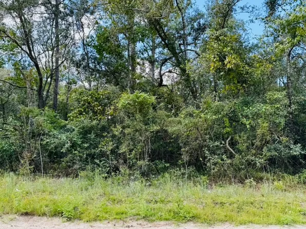 LOT 9 NW Sparrow Ln, Jennings, FL 32053
