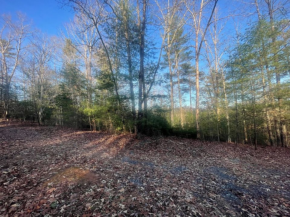 2nd image of Reed Rd