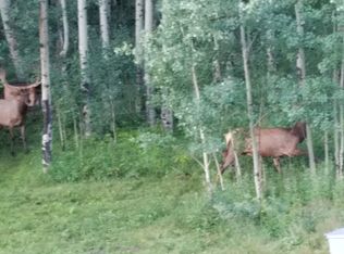 10898 Norton Ave, Conifer, CO 80433