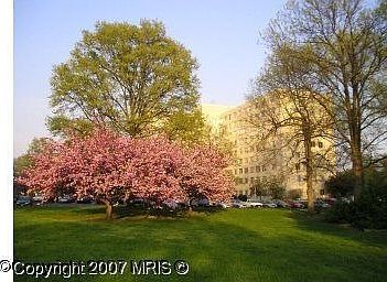Beautiful grounds