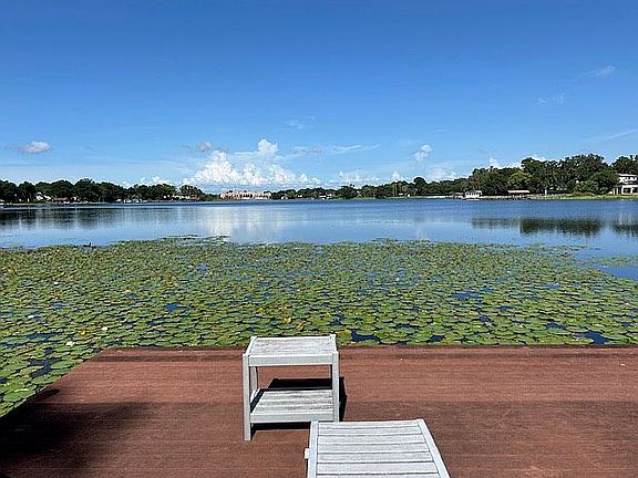 White Trout Lake dock view