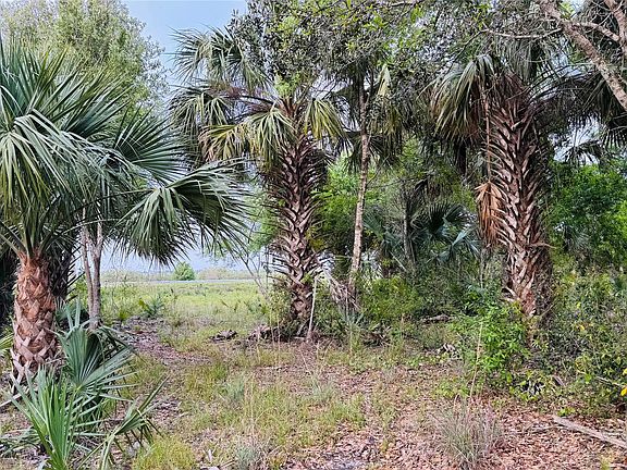 5th image of 10555 State Road 60