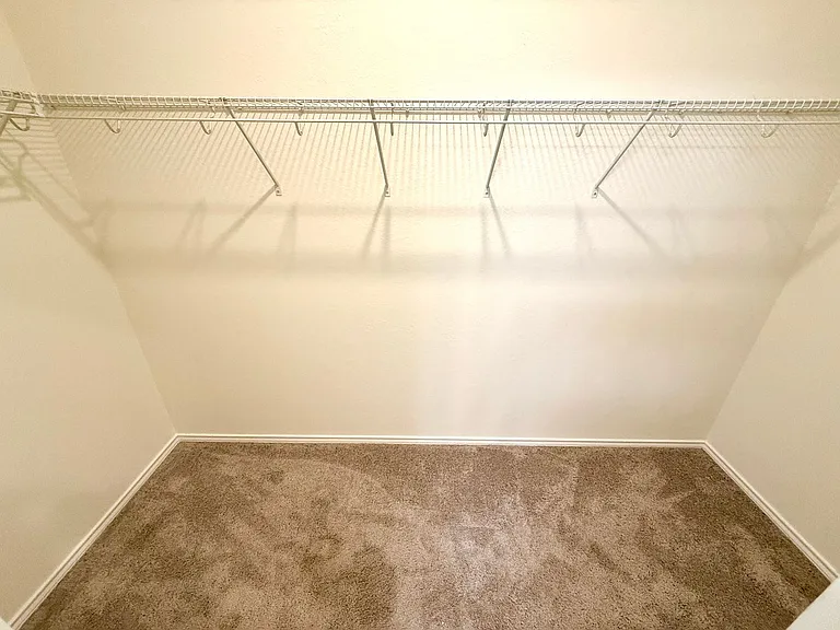 5006 Jovian — Photo 12