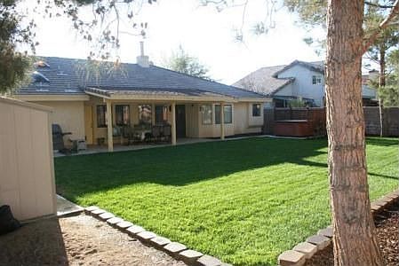 Green Backyard