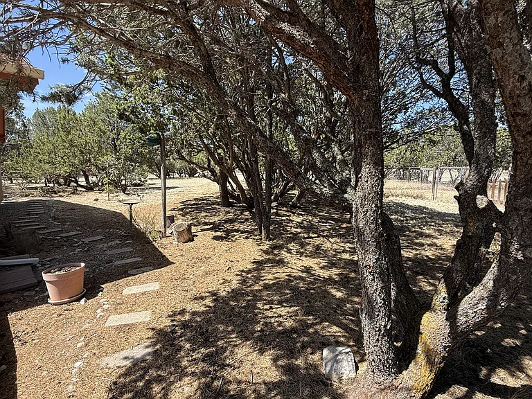 1 Autumnwood Ct — Photo 25