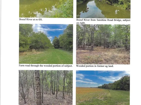 Sunshine Rd, Oak Grove, LA 71263