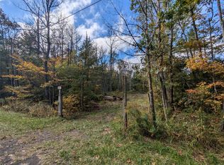 409 Monkey Run Rd, Pt Crane, NY 13833