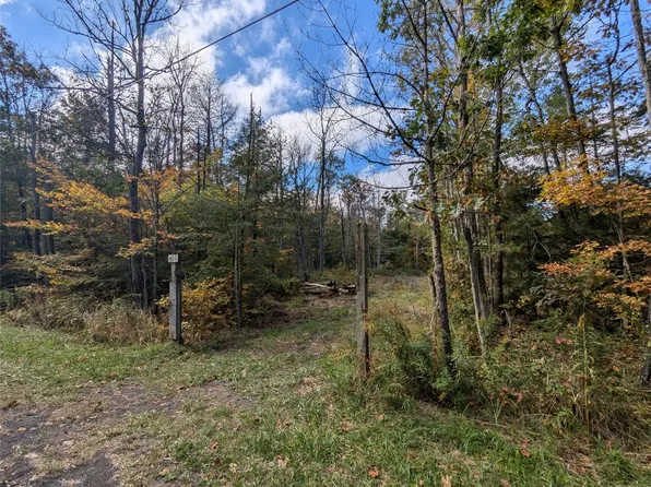 409 Monkey Run Rd, Pt Crane, NY 13833