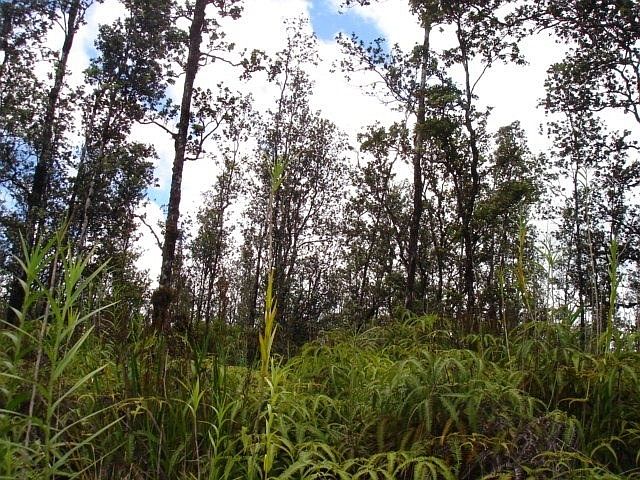 2nd image of Road 3 Hopue Lot 3135