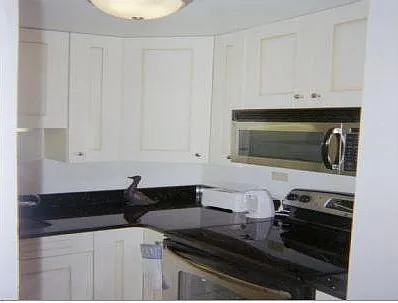 21 W Goethe St #4E — Photo 7