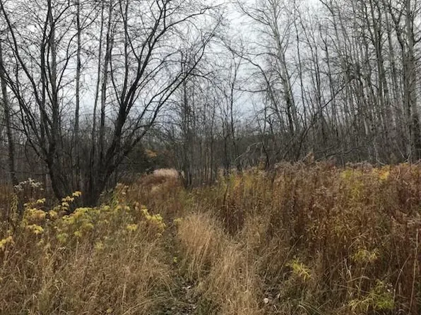 M24 L10 Off Russ Street, Caribou, ME 04736